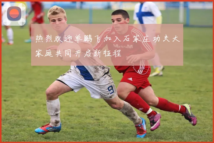 热烈欢迎单鹏飞加入石家庄功夫大家庭共同开启新征程